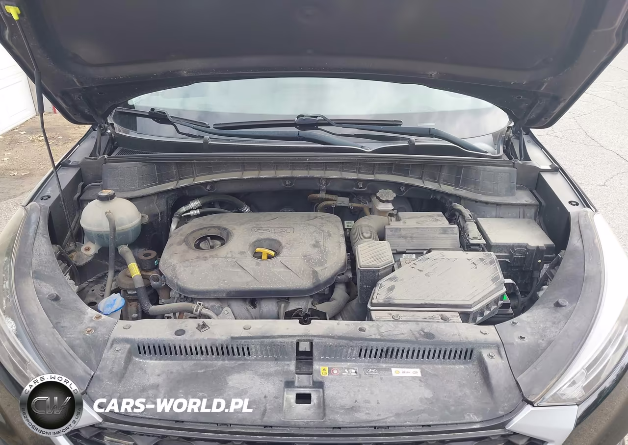 2019 Hyundai Tucson Se VIN:KM8J2CA42KU999651 - 10