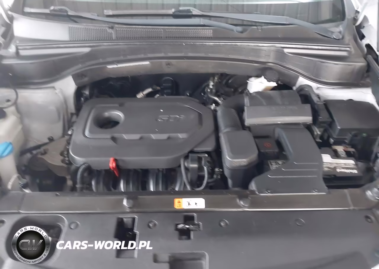 2018 Hyundai Santa Fe Sport 2.4L VIN:5XYZTDLB3JG544930 - 10