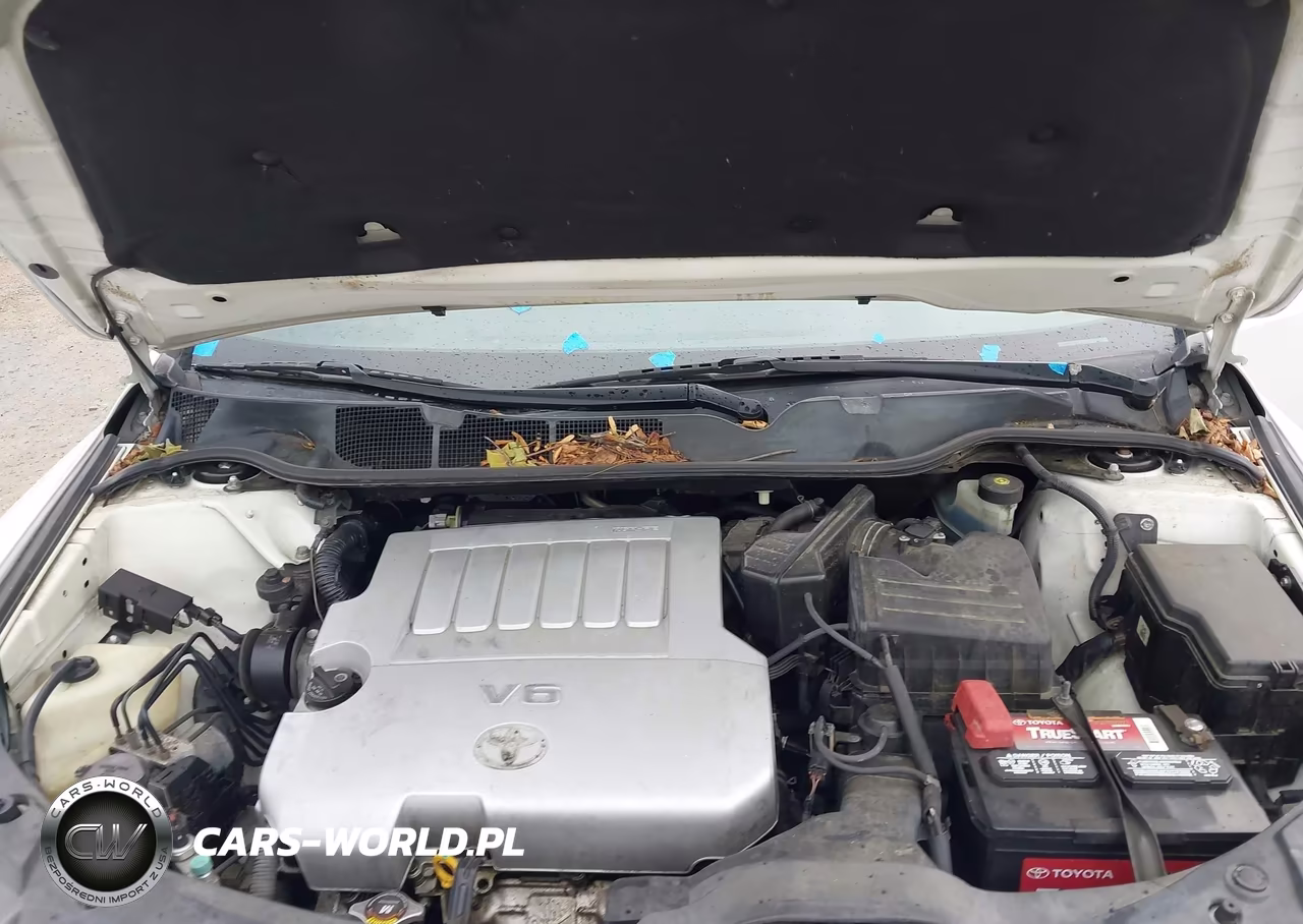 2009 Toyota Venza Base V6 VIN:4T3BK11A89U003821 - 10