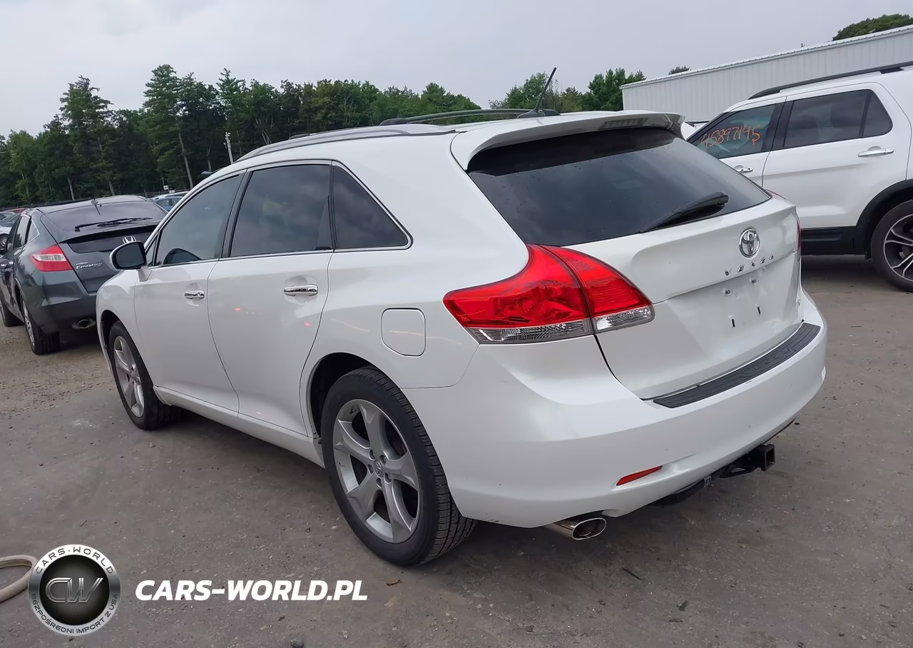 2009 Toyota Venza Base V6 VIN:4T3BK11A89U003821 - 3
