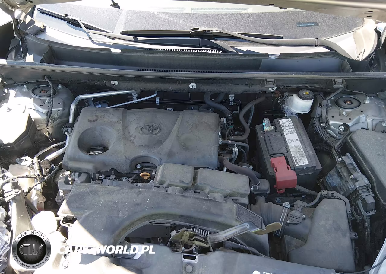 2019 Toyota Rav4 Xle VIN:2T3W1RFV9KC014669 - 10