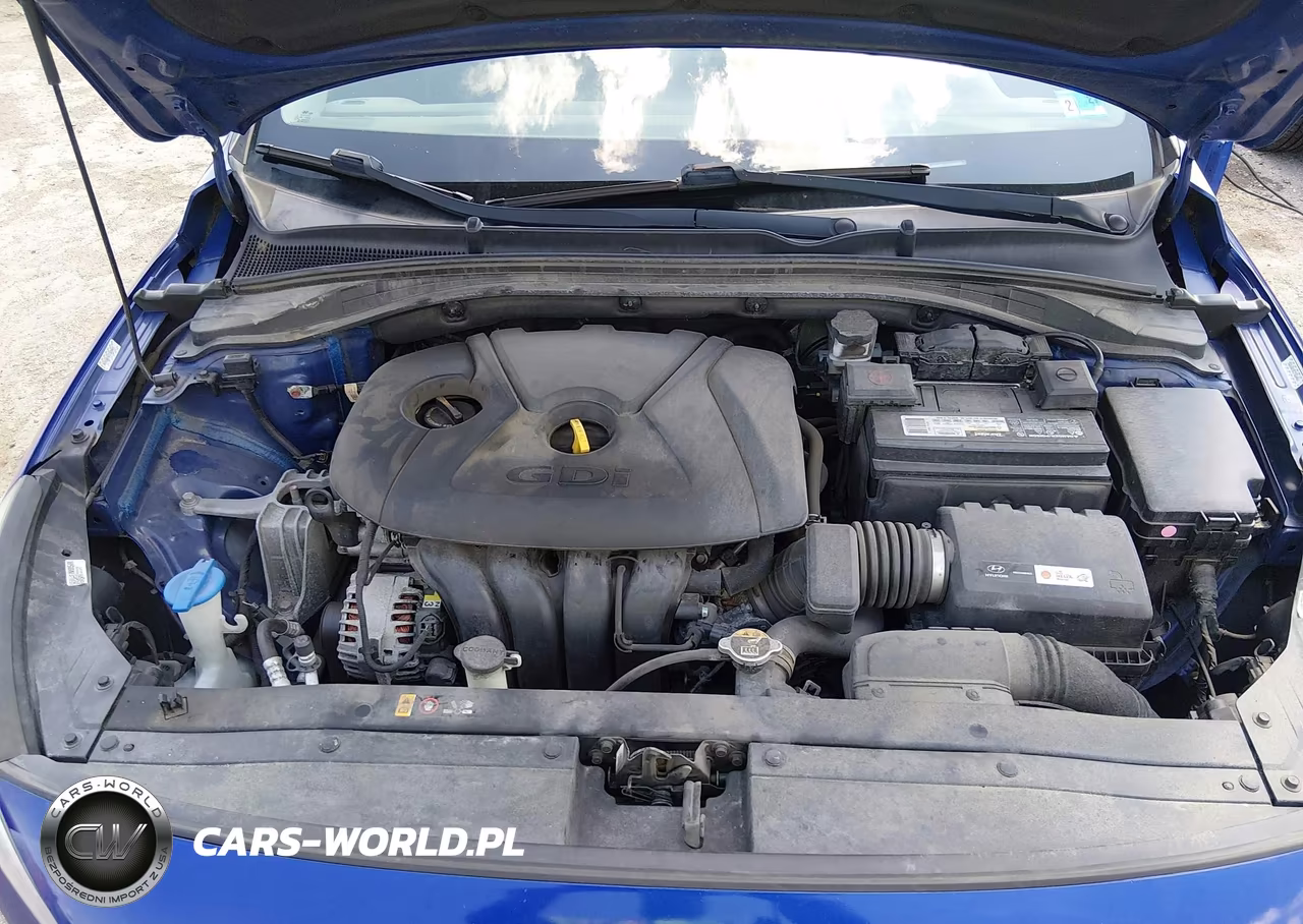 2019 Hyundai Elantra Gt VIN:KMHH35LE3KU099256 - 10
