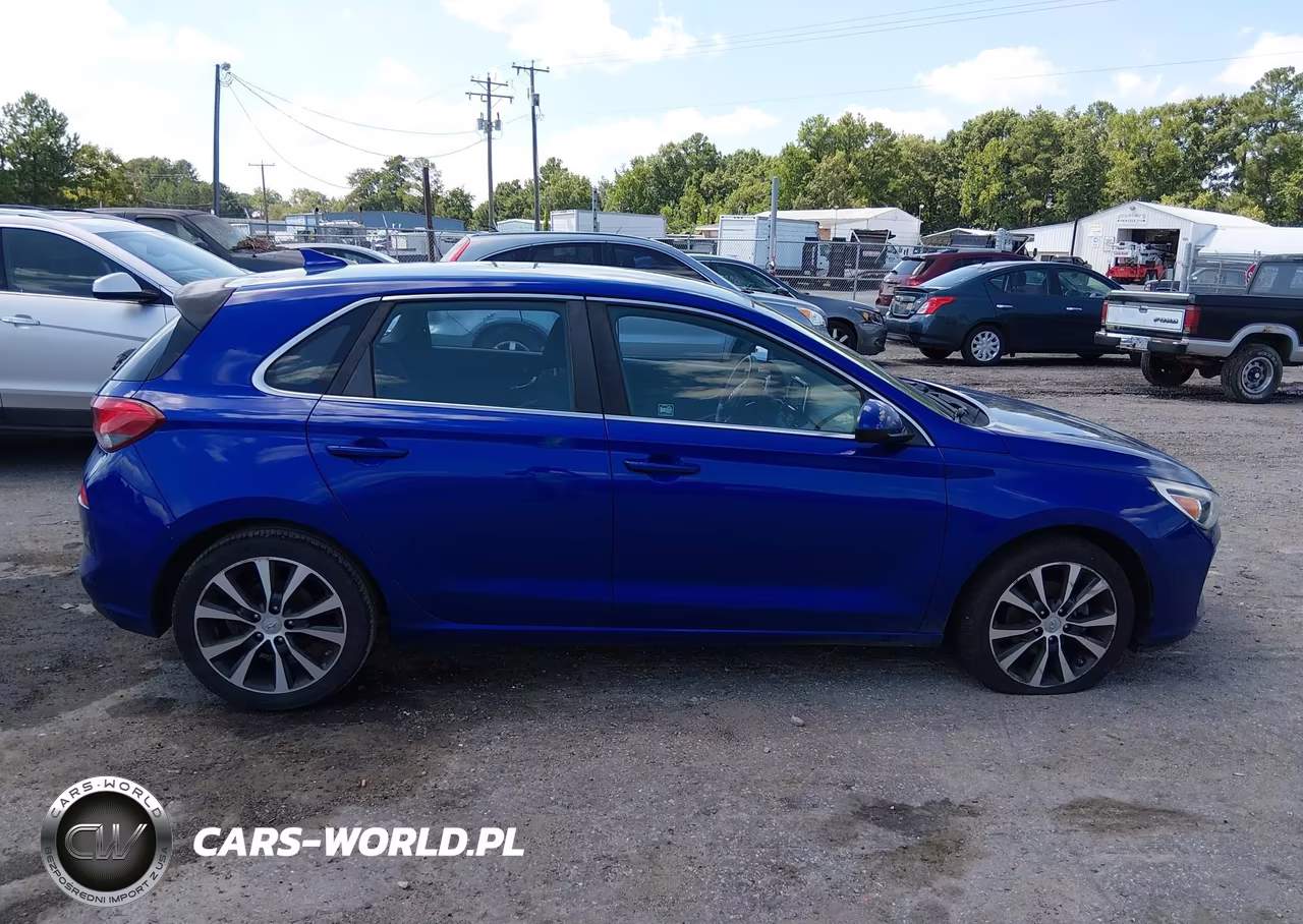 2019 Hyundai Elantra Gt VIN:KMHH35LE3KU099256 - 13