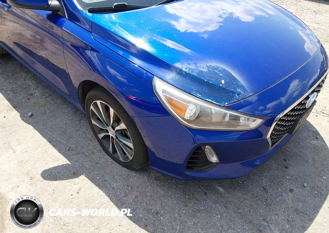 2019 Hyundai Elantra Gt VIN:KMHH35LE3KU099256 - 6