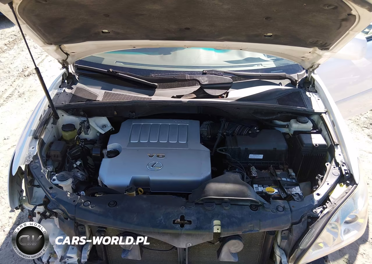 2007 Lexus Rx 350 VIN:2T2HK31U67C031829 - 10