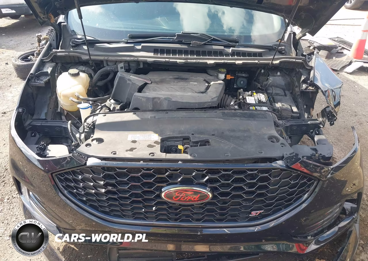 2019 Ford Edge St VIN:2FMPK4AP6KBC32790 - 10