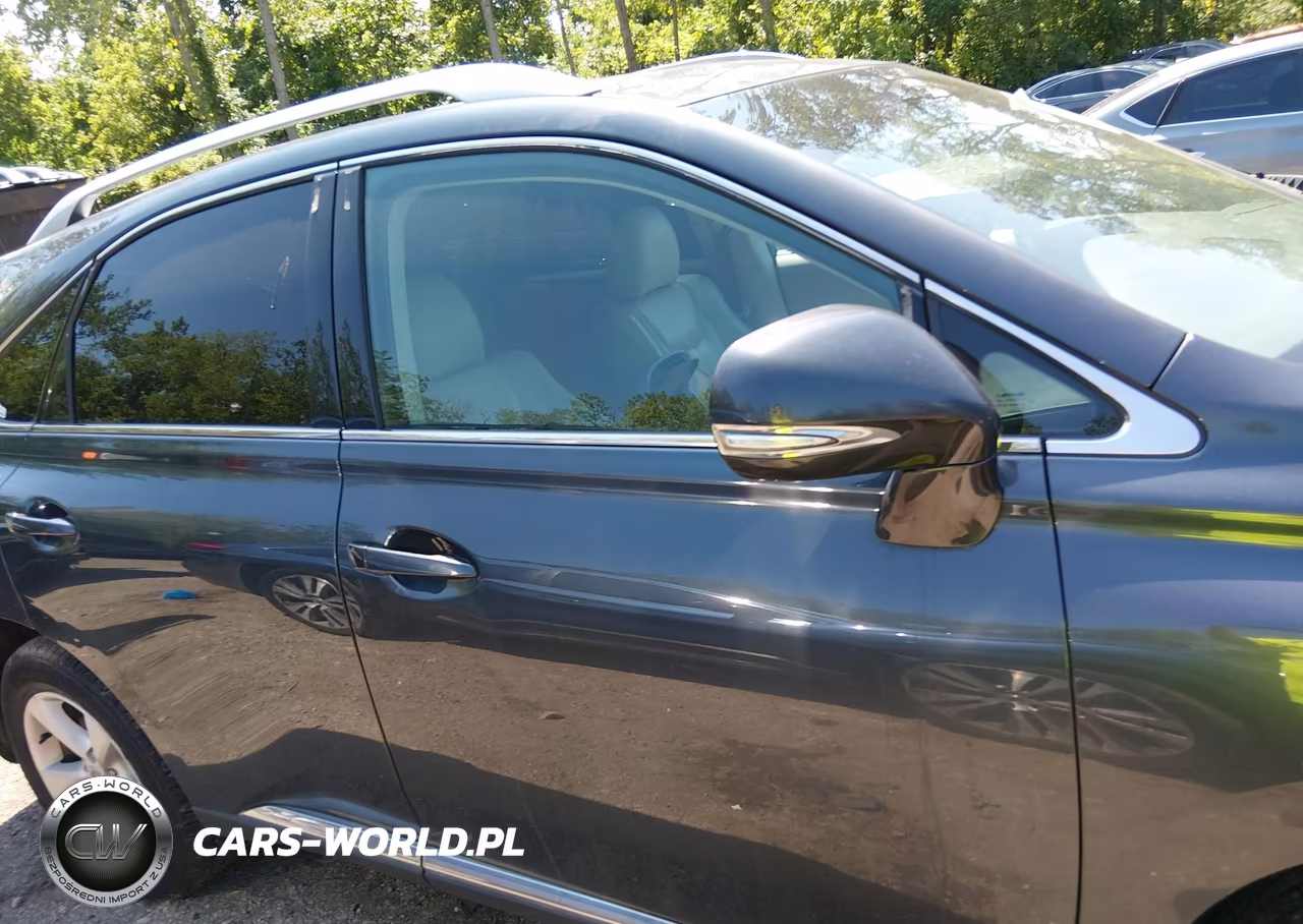 2010 Lexus Rx 350 VIN:2T2BK1BA6AC077831 - 13