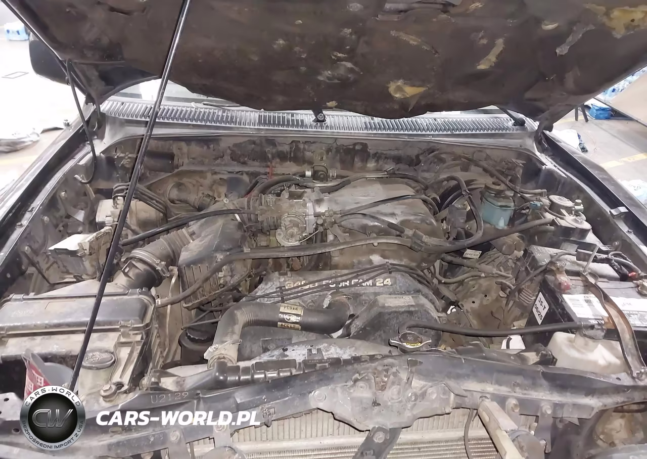 1999 Toyota 4Runner Sr5 V6 VIN:JT3GN86R7X0111972 - 10