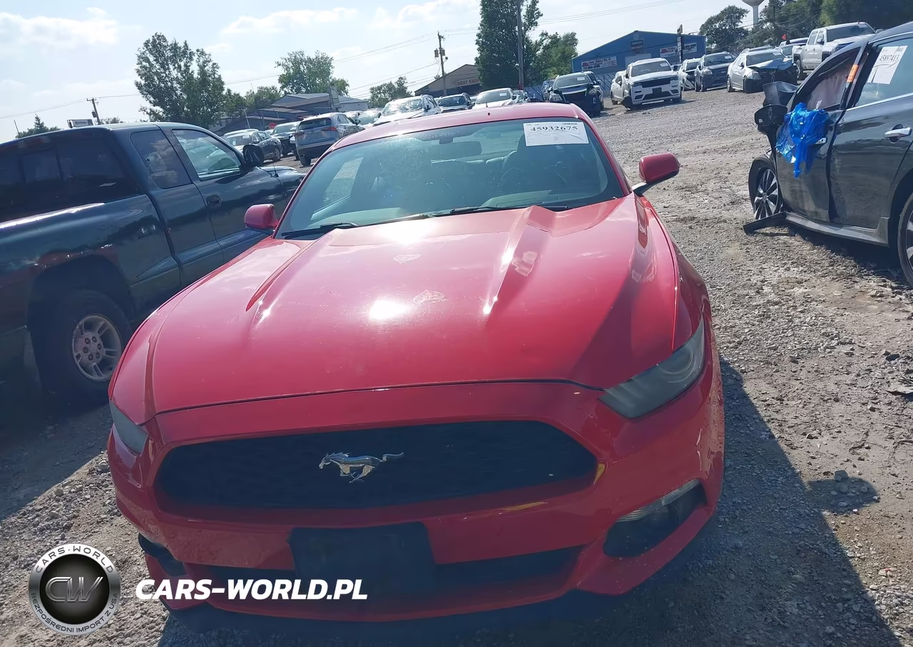 2015 Ford Mustang Ecoboost VIN:1FA6P8TH7F5317474 - 12