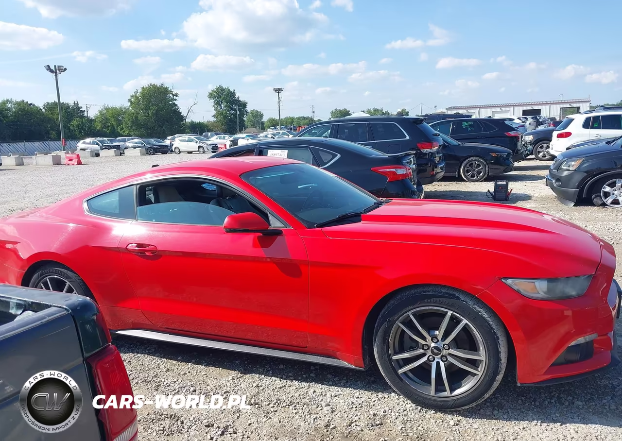 2015 Ford Mustang Ecoboost VIN:1FA6P8TH7F5317474 - 13