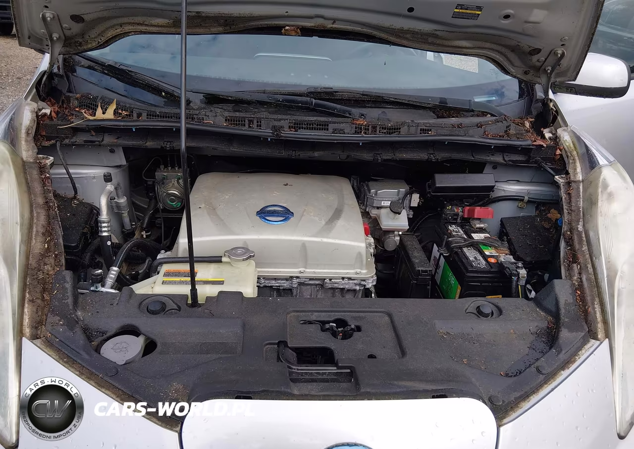 2015 Nissan Leaf S VIN:1N4AZ0CP5FC317224 - 10