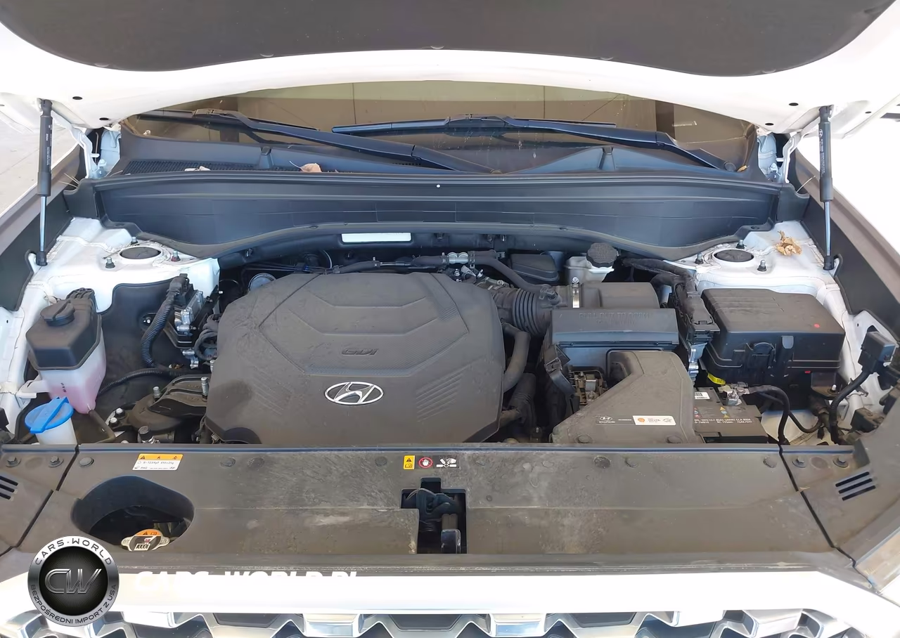 2021 Hyundai Palisade Limited VIN:KM8R5DHE9MU231084 - 10