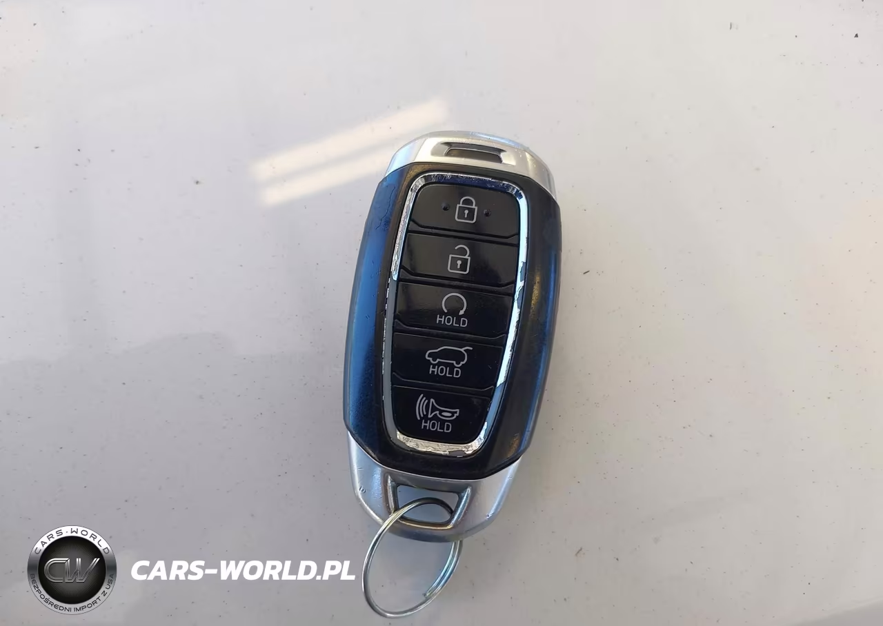 2021 Hyundai Palisade Limited VIN:KM8R5DHE9MU231084 - 11