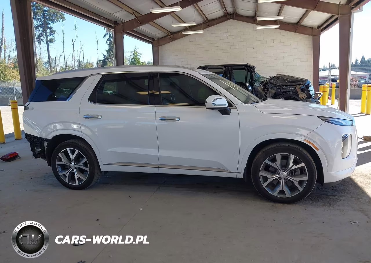 2021 Hyundai Palisade Limited VIN:KM8R5DHE9MU231084 - 14