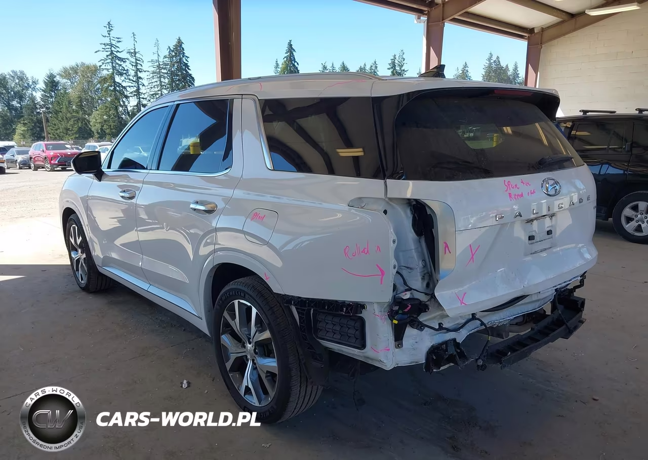 2021 Hyundai Palisade Limited VIN:KM8R5DHE9MU231084 - 3