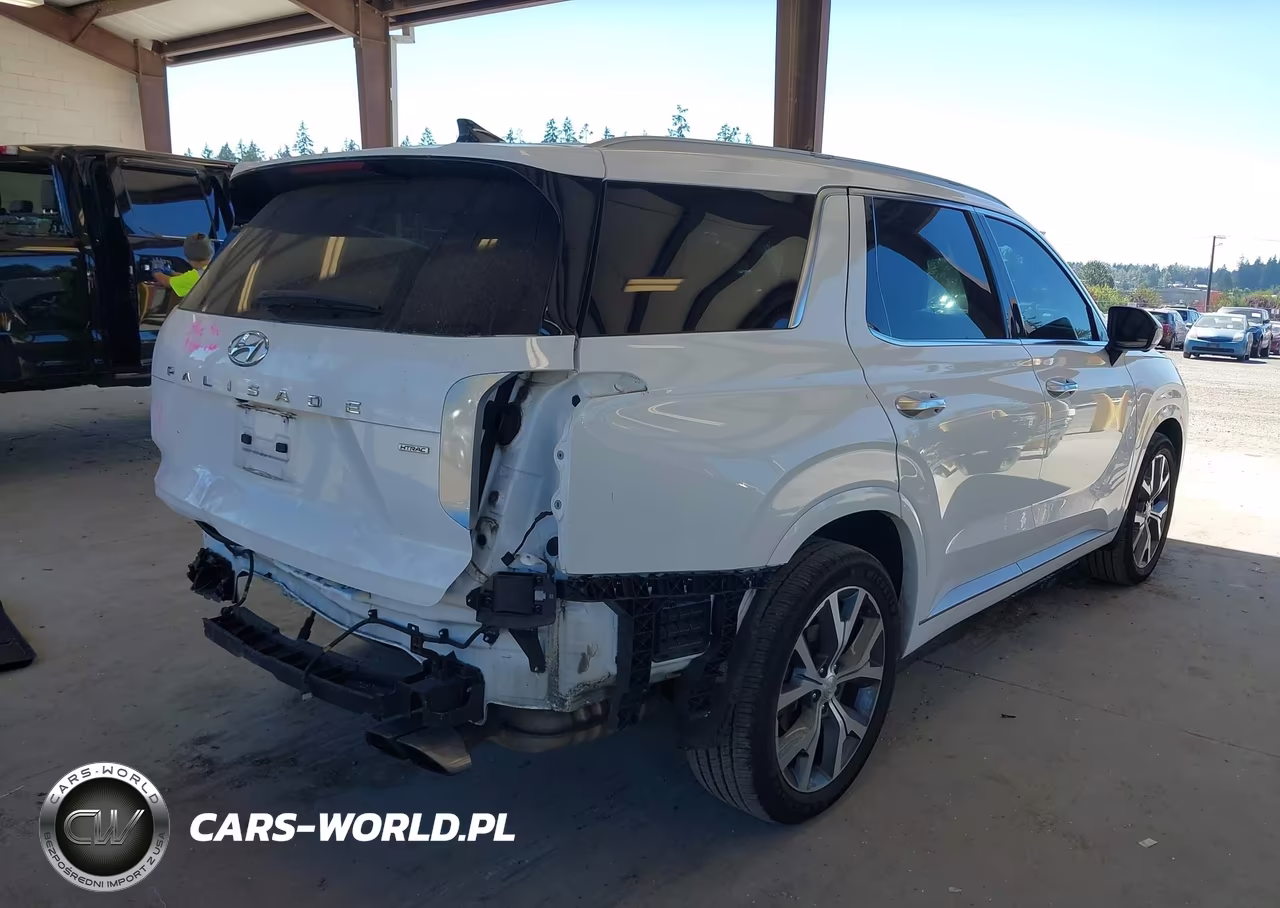 2021 Hyundai Palisade Limited VIN:KM8R5DHE9MU231084 - 4