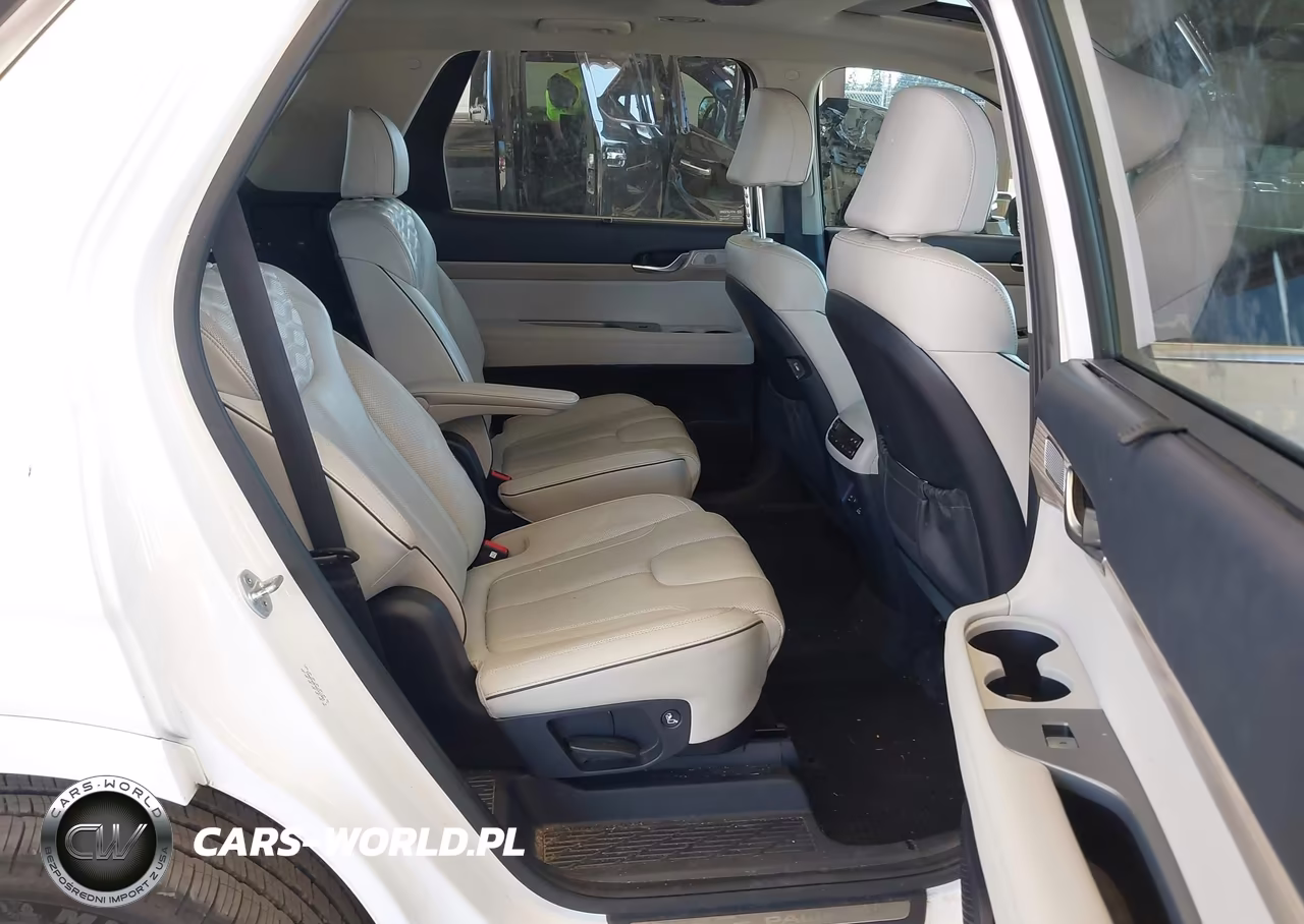 2021 Hyundai Palisade Limited VIN:KM8R5DHE9MU231084 - 8
