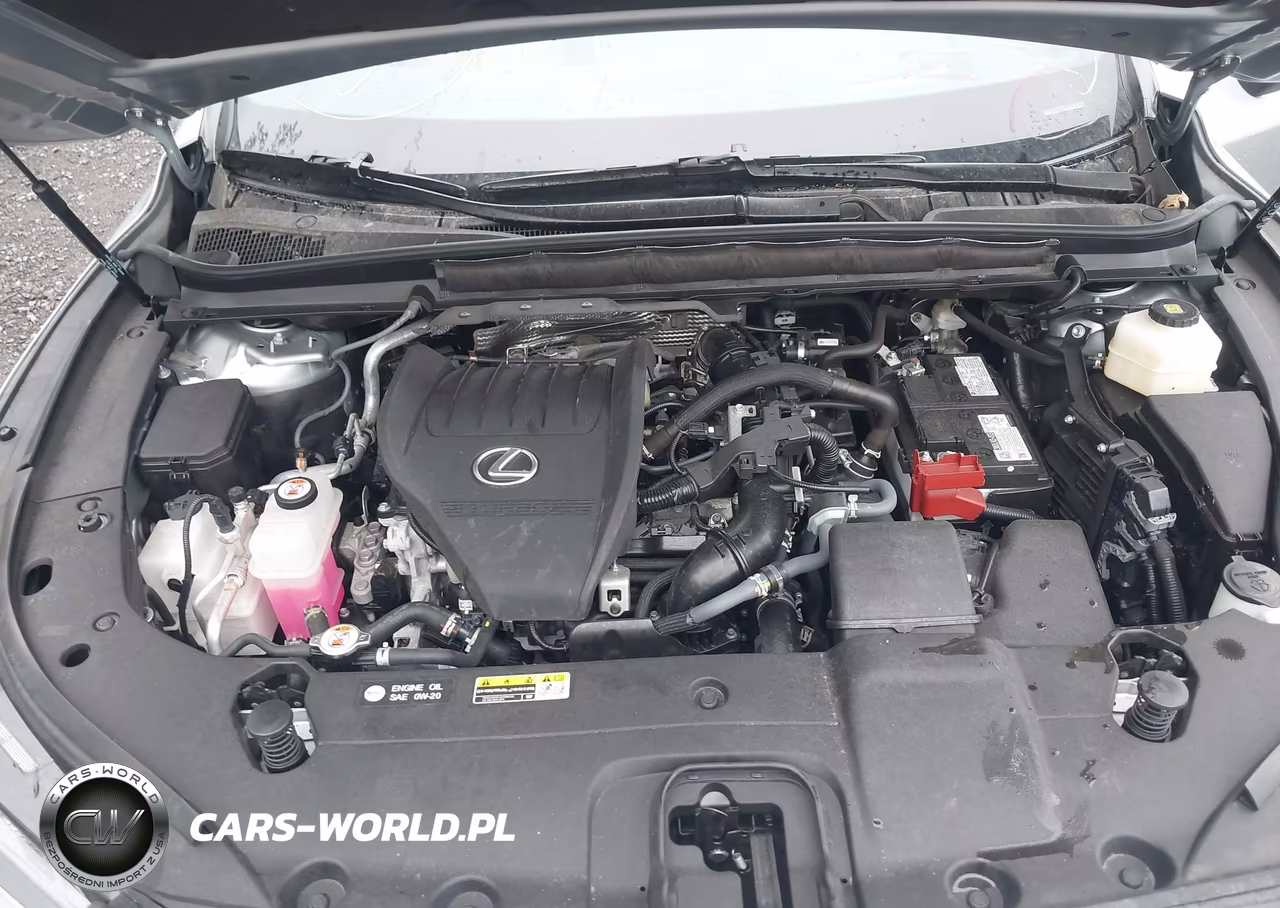 2025 Lexus Rx 350 Premium Plus VIN:2T2BAMCA2SC093058 - 10