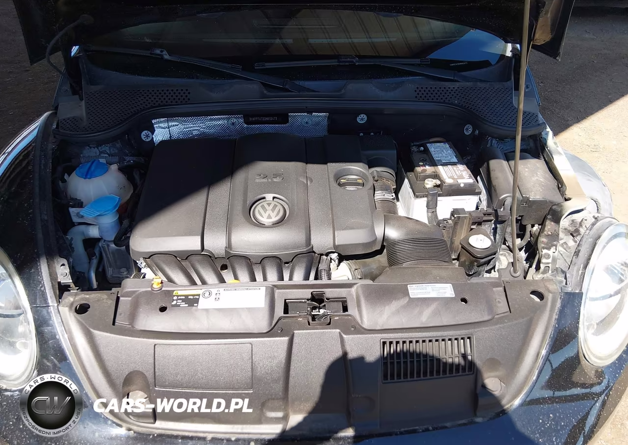 2013 Volkswagen Beetle 2.5L Entry VIN:3VWFP7AT3DM652473 - 10