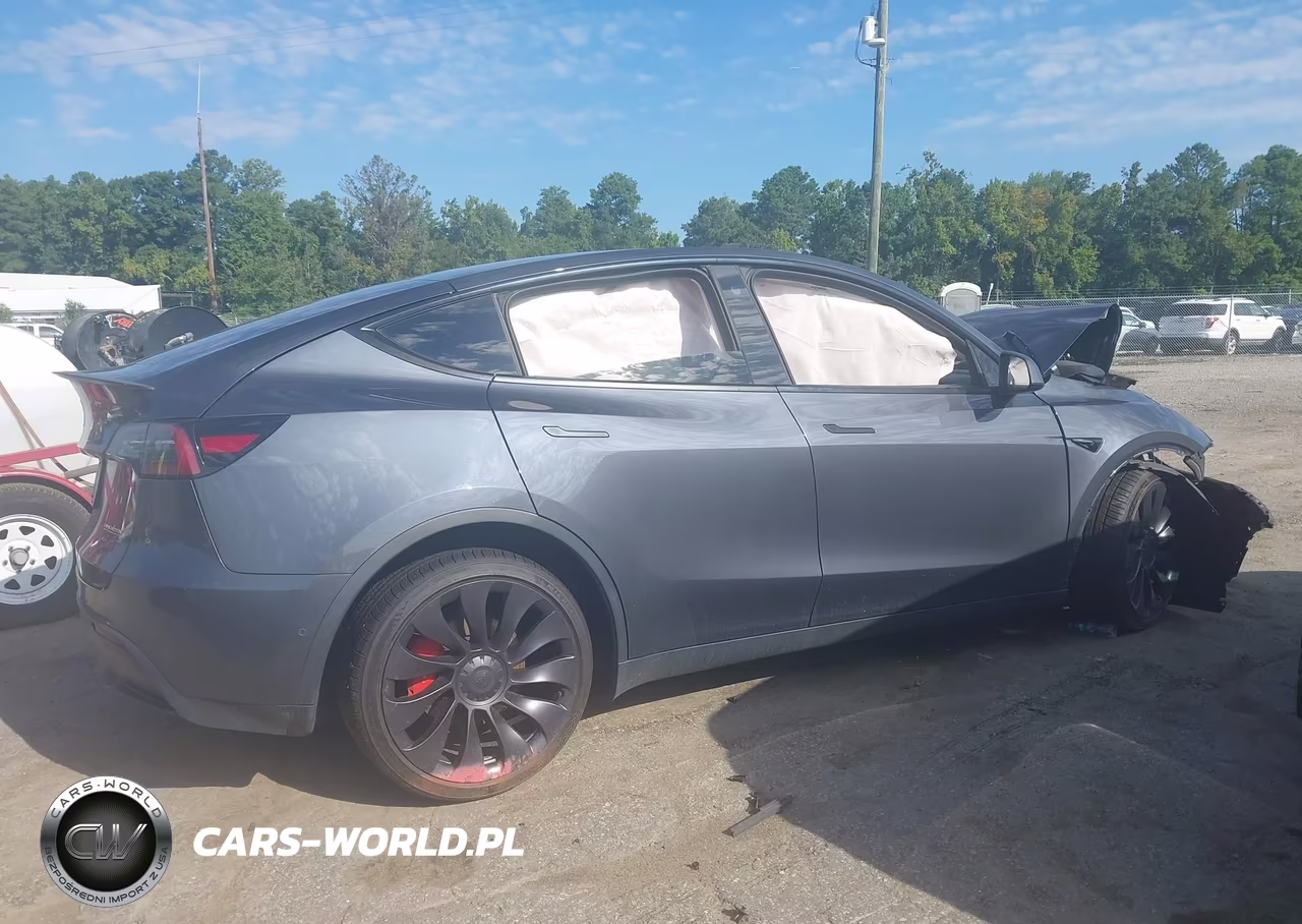 2022 Tesla Model Y Performance Dual Motor All-Wheel Drive VIN:7SAYGDEF4NF446053 - 12