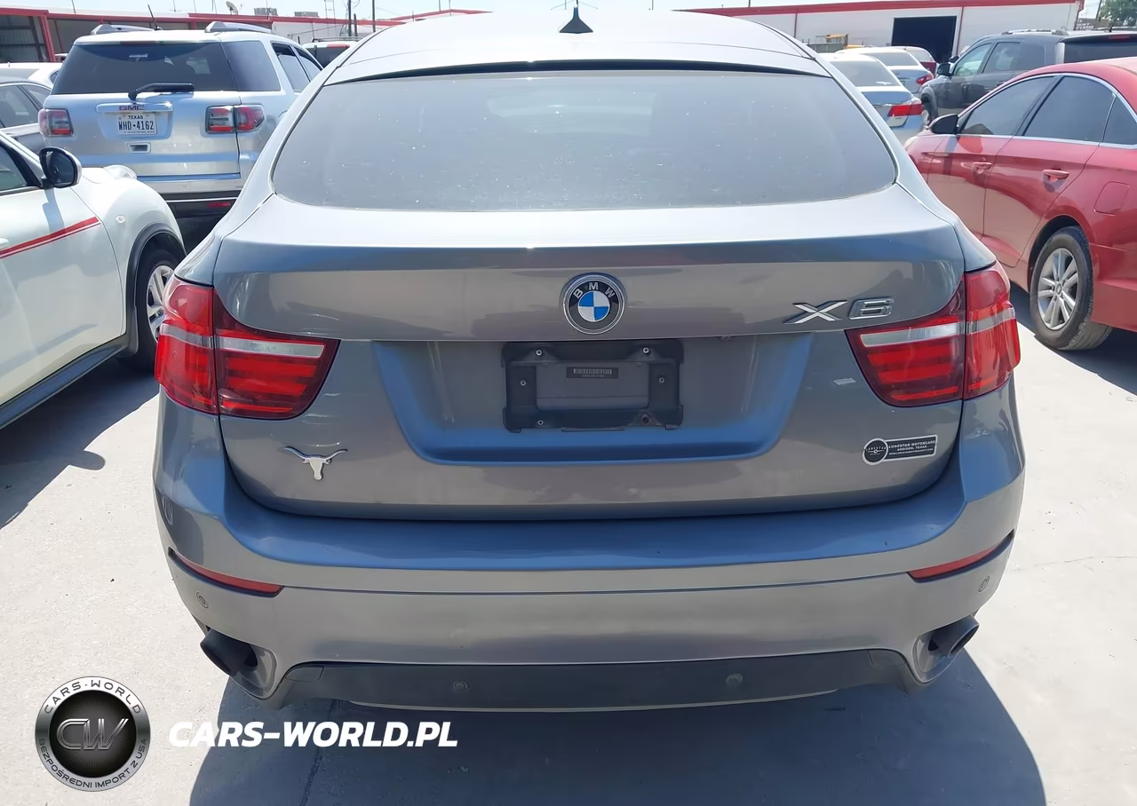 2013 BMW X6 xDrive35I VIN:5UXFG2C56DL787869 - 16