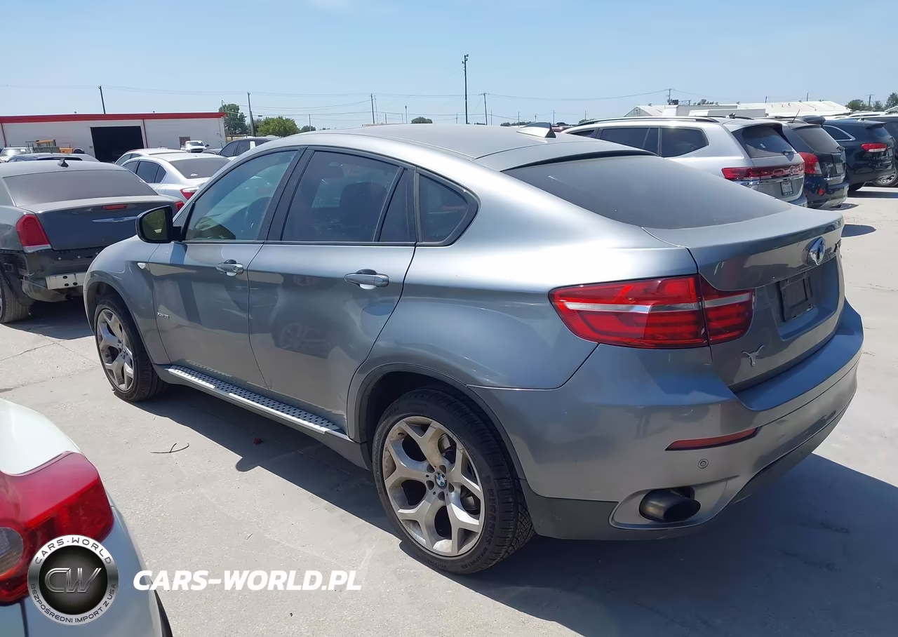 2013 BMW X6 xDrive35I VIN:5UXFG2C56DL787869 - 3