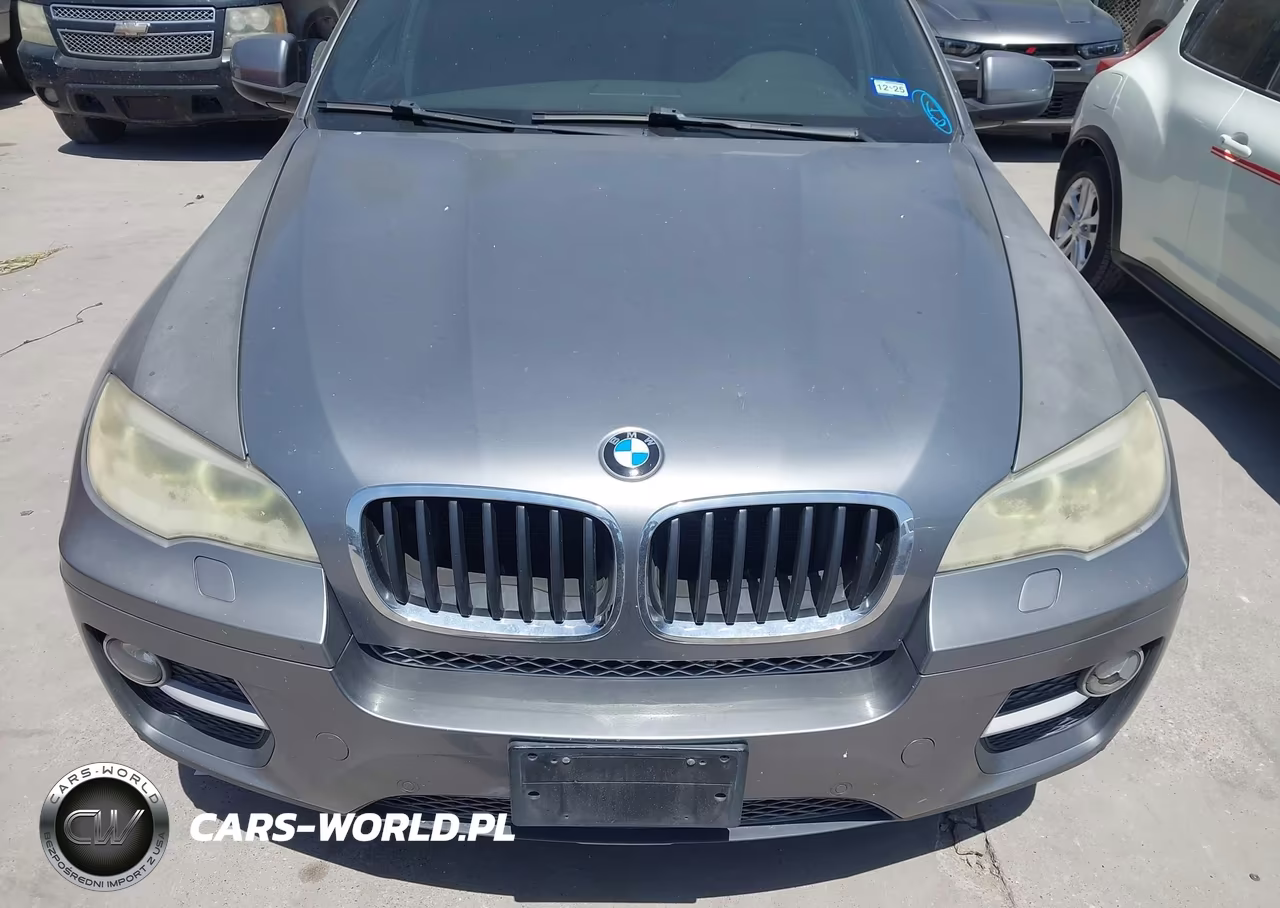 2013 BMW X6 xDrive35I VIN:5UXFG2C56DL787869 - 6