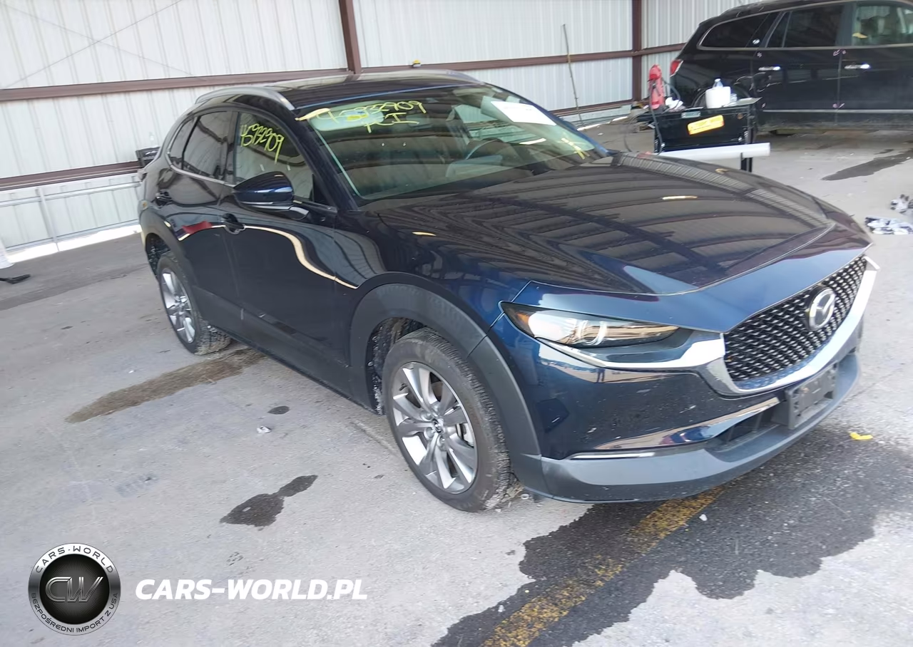 2021 Mazda Cx-30 Premium VIN:3MVDMBDM6MM232439 - 1