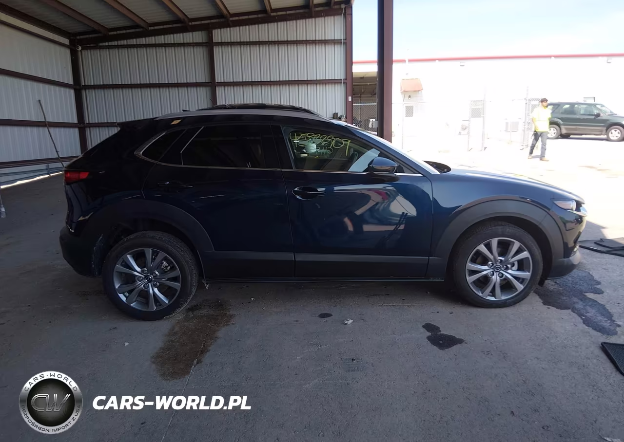 2021 Mazda Cx-30 Premium VIN:3MVDMBDM6MM232439 - 13