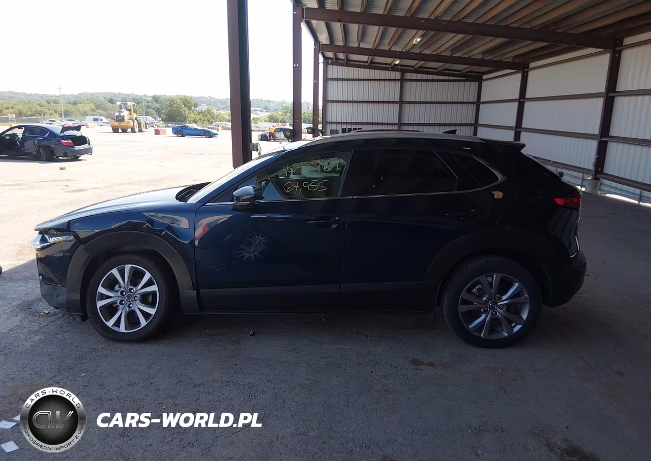 2021 Mazda Cx-30 Premium VIN:3MVDMBDM6MM232439 - 14