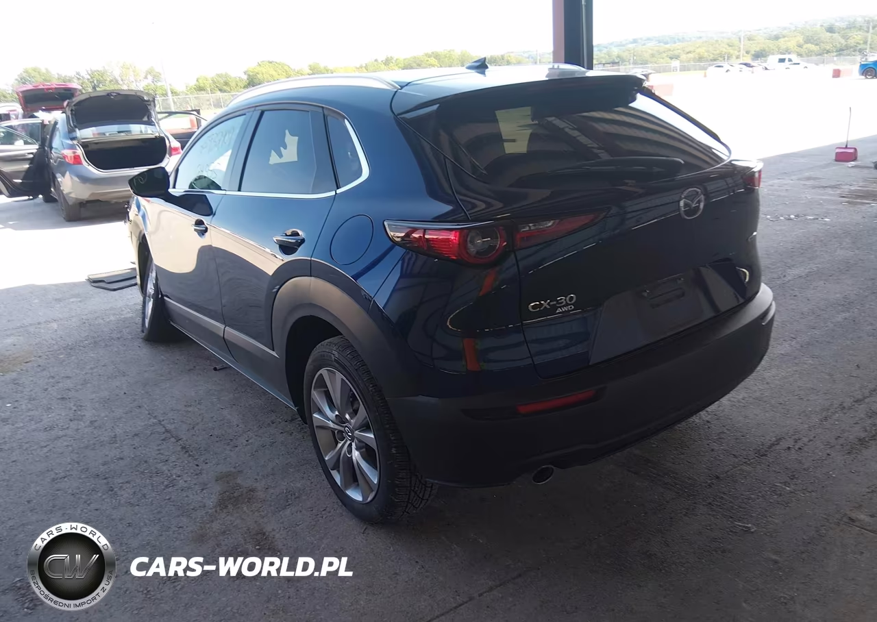 2021 Mazda Cx-30 Premium VIN:3MVDMBDM6MM232439 - 3