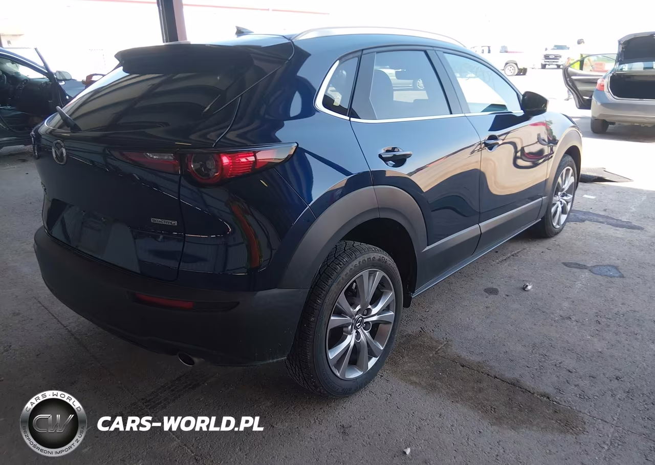 2021 Mazda Cx-30 Premium VIN:3MVDMBDM6MM232439 - 4