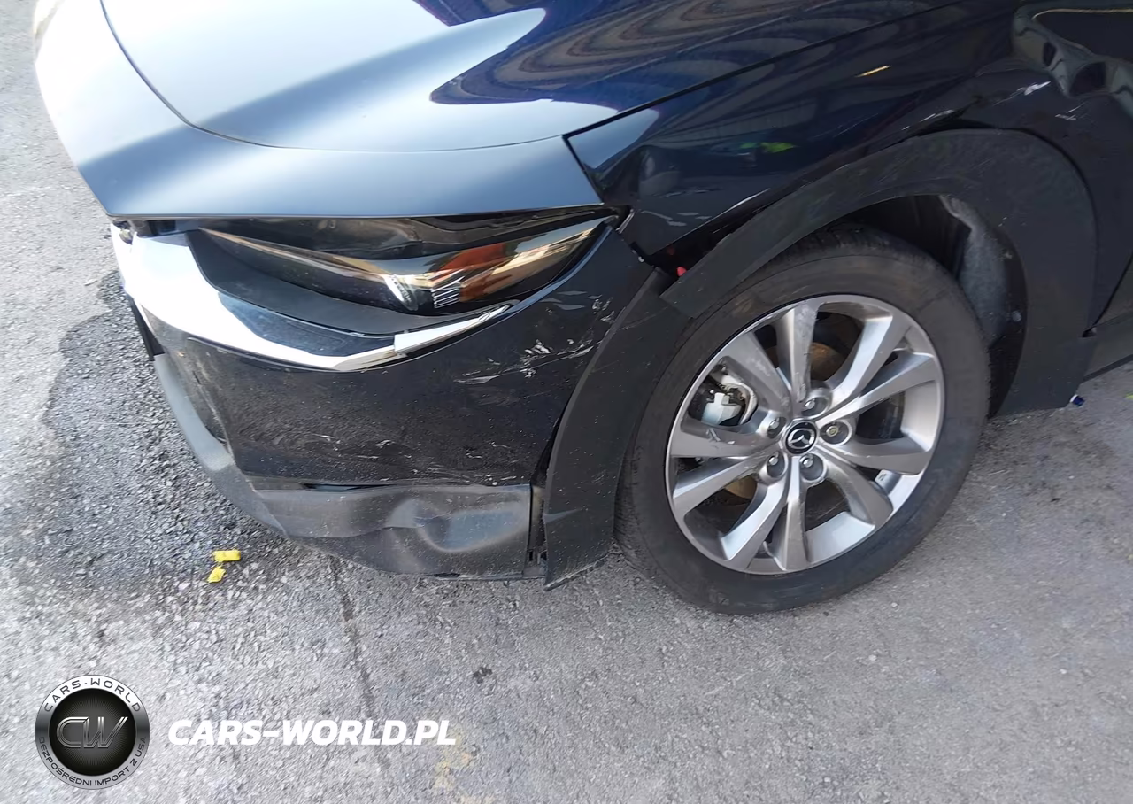 2021 Mazda Cx-30 Premium VIN:3MVDMBDM6MM232439 - 6