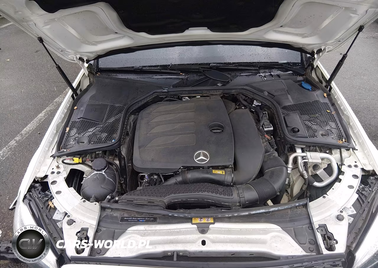 2019 Mercedes-Benz C 300 4Matic VIN:55SWF8EBXKU284046 - 10