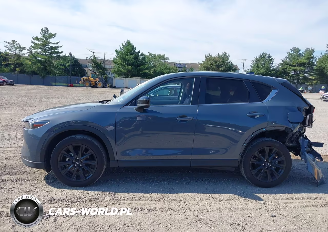 2024 Mazda Cx-5 2.5 S Carbon Edition VIN:JM3KFBCL2R0486761 - 15