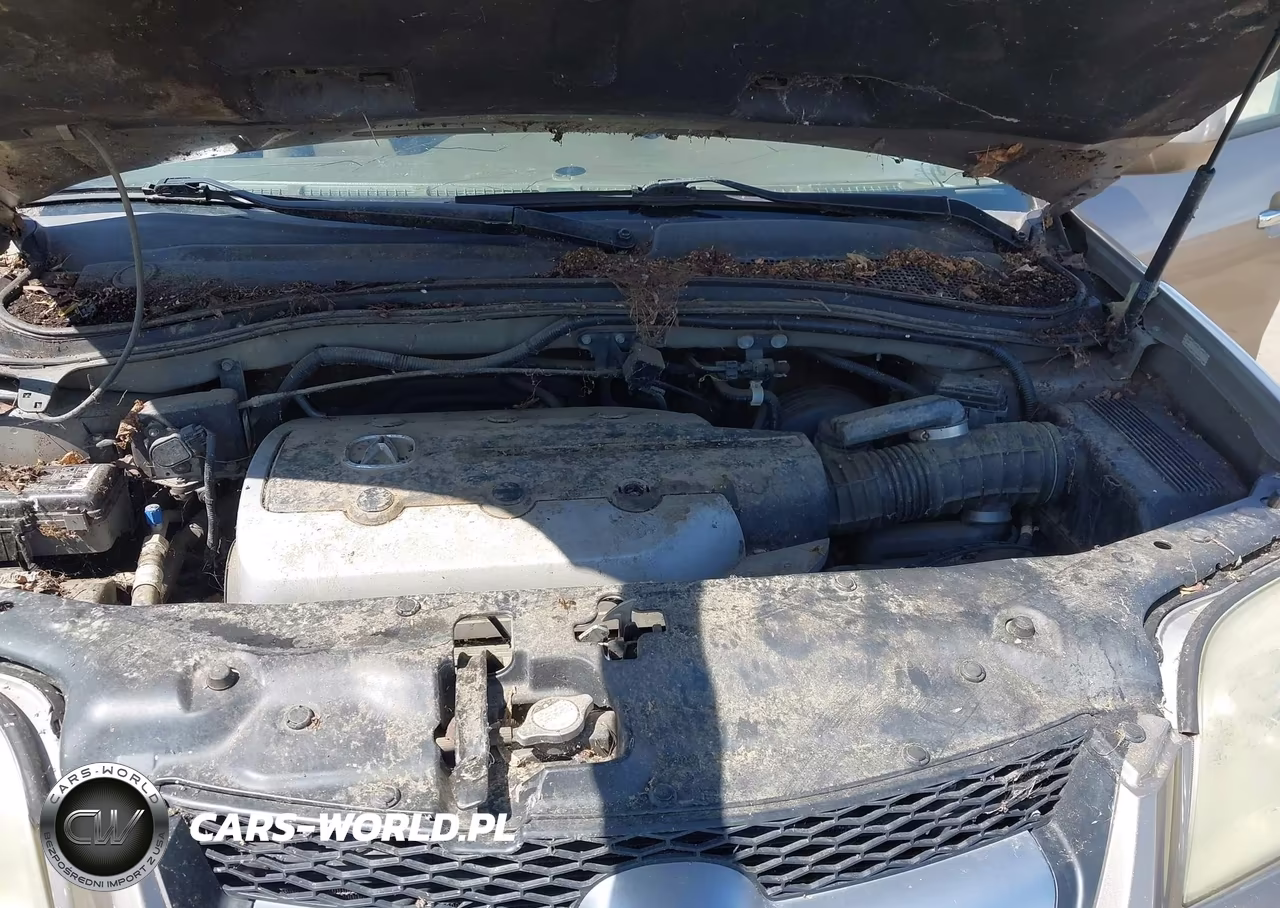 2006 Acura Mdx VIN:2HNYD18206H527960 - 10