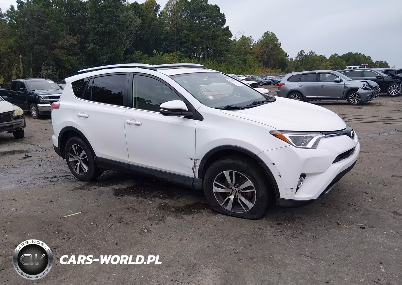 2016 Toyota Rav4 Xle VIN:JTMWFREV6GJ095167 - 1