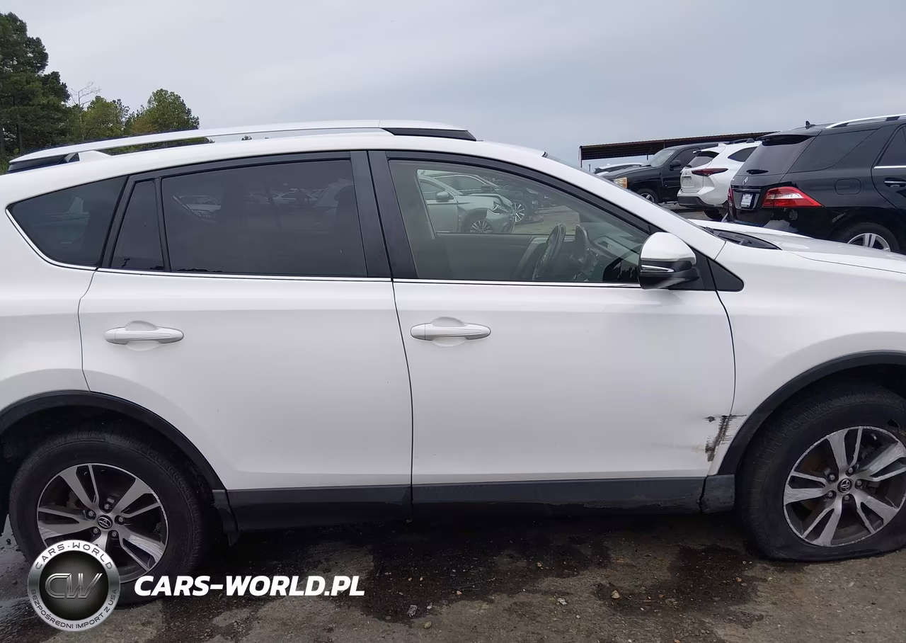 2016 Toyota Rav4 Xle VIN:JTMWFREV6GJ095167 - 13