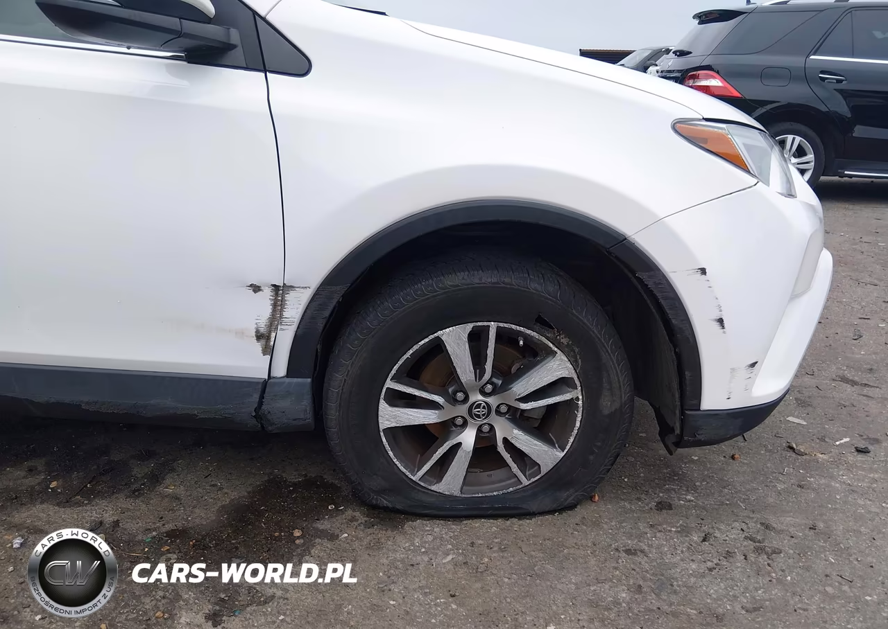 2016 Toyota Rav4 Xle VIN:JTMWFREV6GJ095167 - 20