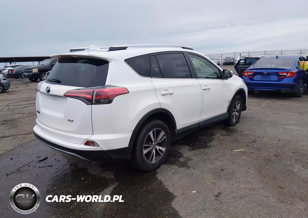 2016 Toyota Rav4 Xle VIN:JTMWFREV6GJ095167 - 4