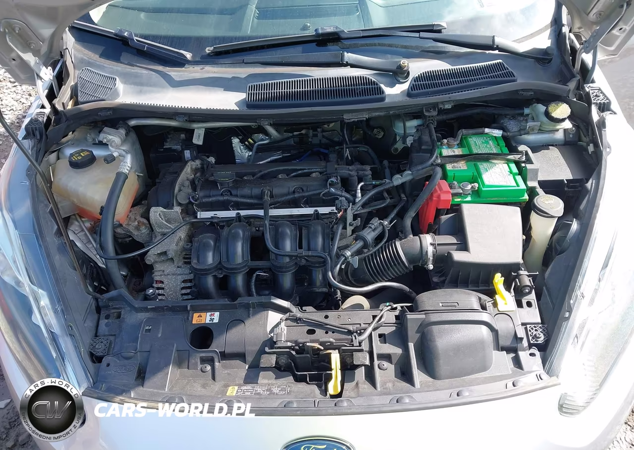 2015 Ford Fiesta Se VIN:3FADP4EJ5FM220154 - 10