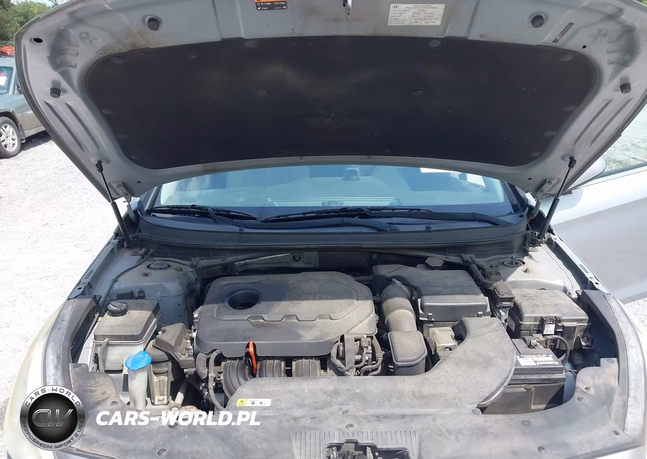 2015 Hyundai Sonata Se VIN:5NPE24AF1FH065901 - 10
