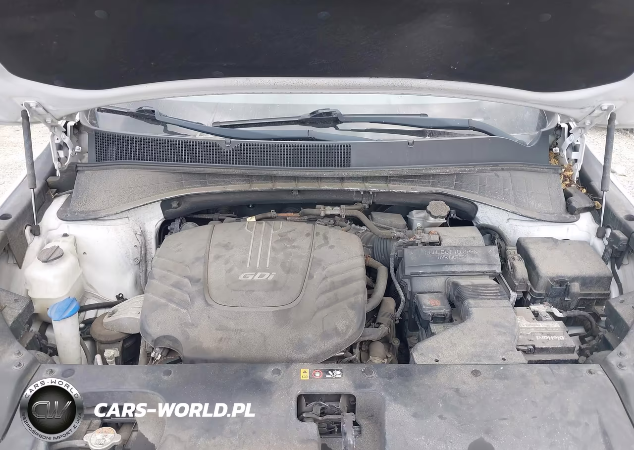 2017 Kia Sorento 3.3L Lx VIN:5XYPGDA5XHG220201 - 10