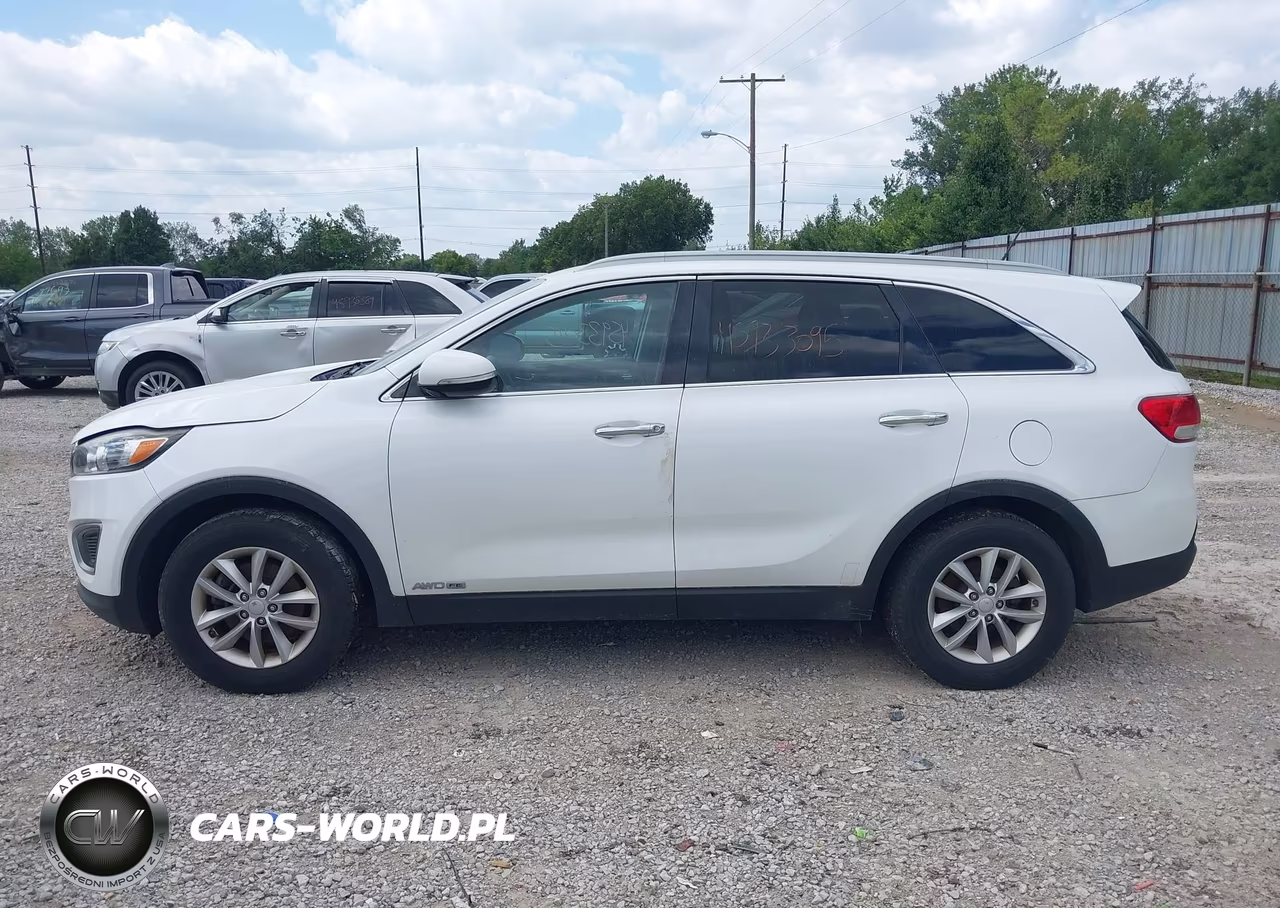 2017 Kia Sorento 3.3L Lx VIN:5XYPGDA5XHG220201 - 14