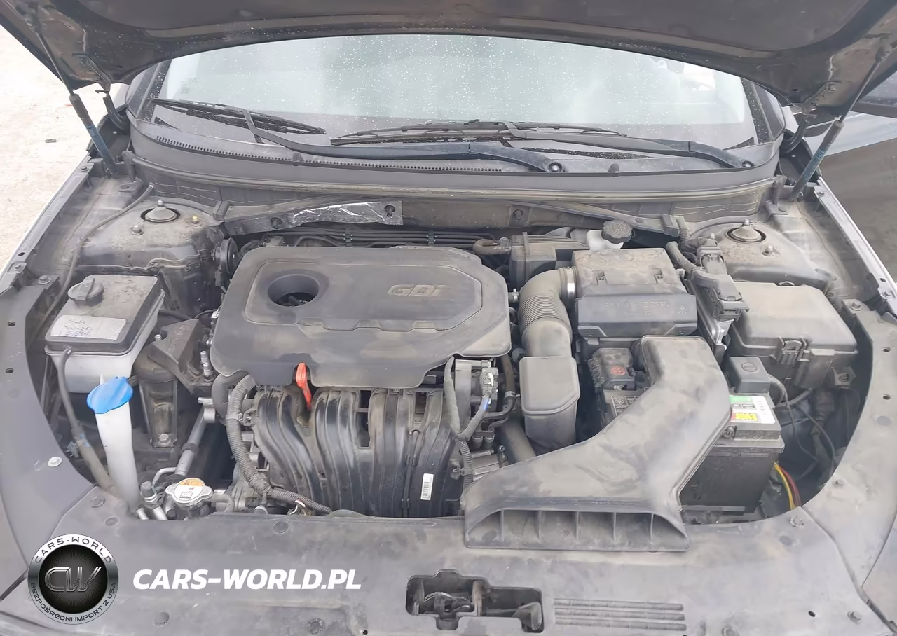 2019 Hyundai Sonata Se VIN:5NPE24AF9KH744793 - 10
