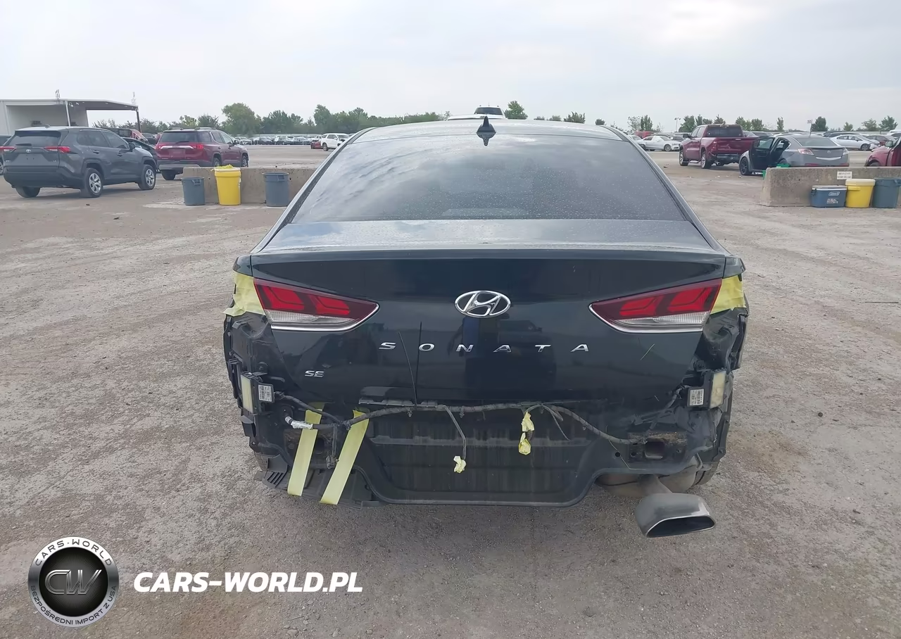 2019 Hyundai Sonata Se VIN:5NPE24AF9KH744793 - 17