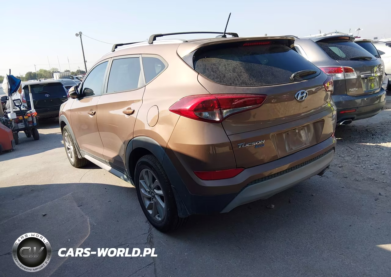 2017 Hyundai Tucson Eco VIN:KM8J33A27HU577184 - 3