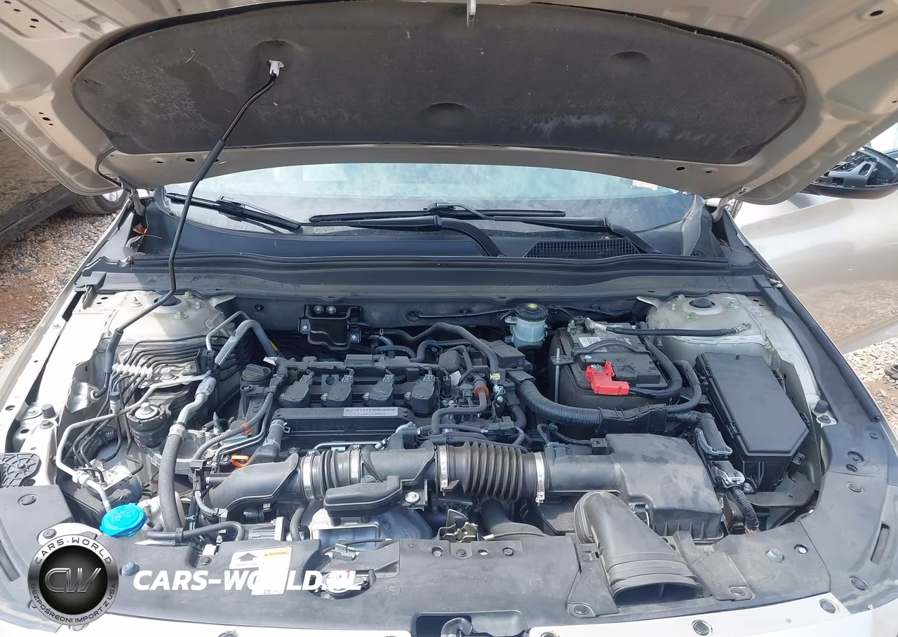 2019 Honda Accord Lx VIN:1HGCV1F19KA114355 - 10