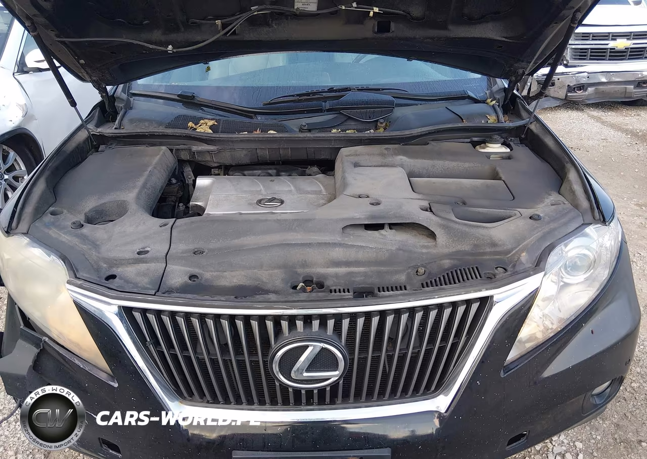 2010 Lexus Rx 350 VIN:2T2BK1BAXAC004381 - 10