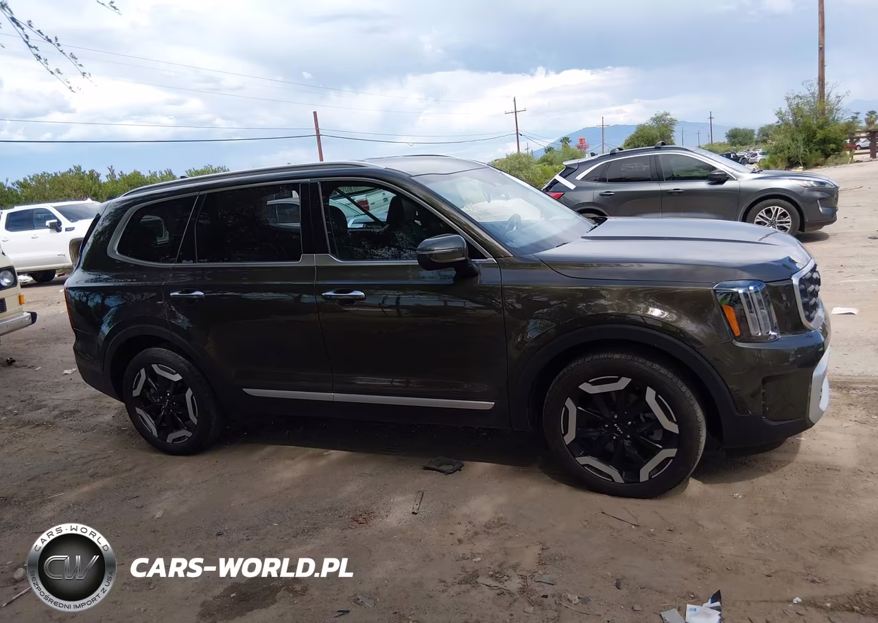 2024 Kia Telluride S VIN:5XYP64GCXRG537065 - 13